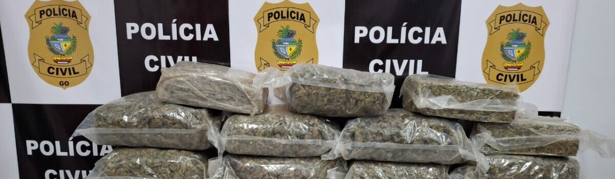 PCGO intercepta carregamento de “supermaconha” avaliado em R$ 500 mil