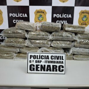 PCGO intercepta carregamento de “supermaconha” avaliado em R$ 500 mil