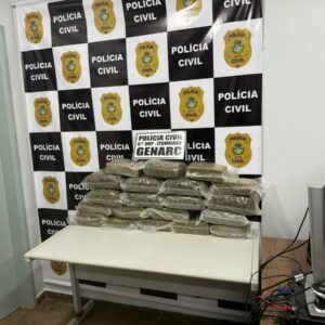 PCGO intercepta carregamento de “supermaconha” avaliado em R$ 500 mil