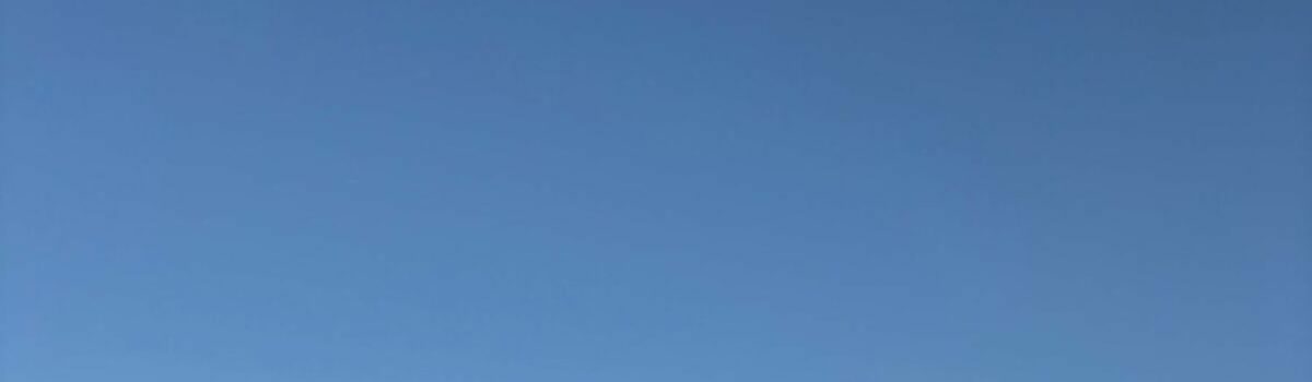 PCGO prende homem em flagrante por atropelar intencionalmente um cão em Piracanjuba