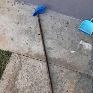 PCGO prende jovem em flagrante por invadir casa, ameaçar e danificar bens da ex namorada em Piracanjuba