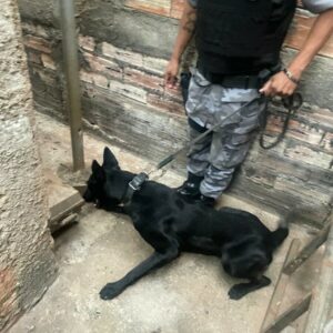 PCGO prende quatro pessoas por tráfico e apreende drogas em Águas Lindas de Goiás