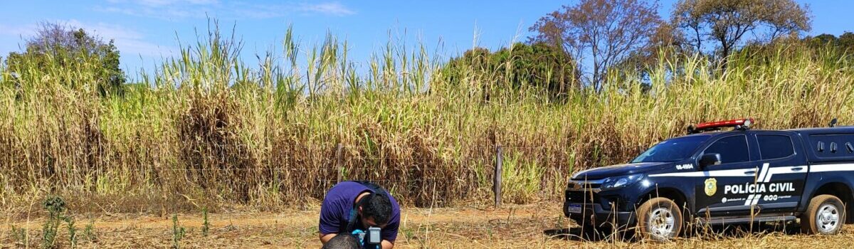 PCGO autua dono de cães que atacaram bezerros em propriedade rural de Caldas Novas