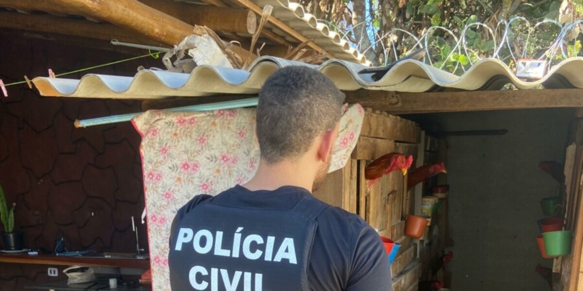 PCGO resgata galos em situação de maus-tratos e usados em rinhas na cidade de Morrinhos