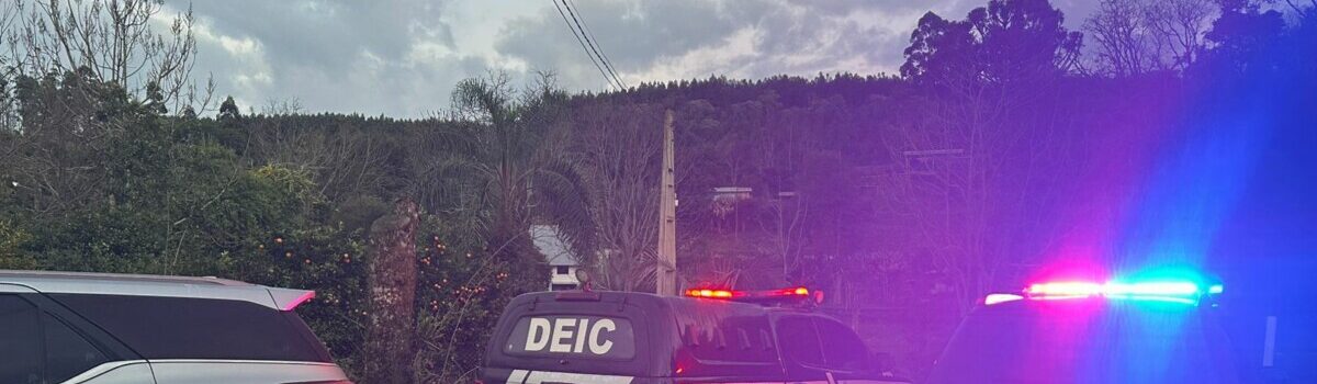 PCGO sequestra R$ 1 milhão e cumpre mandados em GO, MG e SC contra grupo que aplicava golpes com carros de luxo