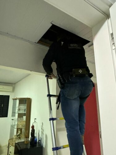 PCGO sequestra R$ 1 milhão e cumpre mandados em GO, MG e SC contra grupo que aplicava golpes com carros de luxo