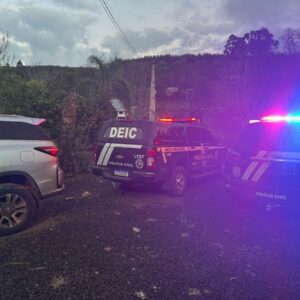 PCGO sequestra R$ 1 milhão e cumpre mandados em GO, MG e SC contra grupo que aplicava golpes com carros de luxo