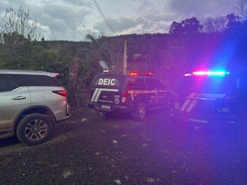 PCGO sequestra R$ 1 milhão e cumpre mandados em GO, MG e SC contra grupo que aplicava golpes com carros de luxo