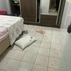 Polícia Civil prende em flagrante filho que agrediiu