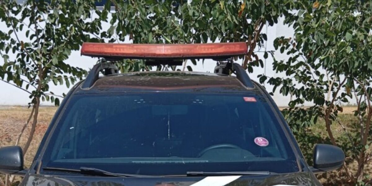 Polícia Civil prende homem em Ceres por crime de furto