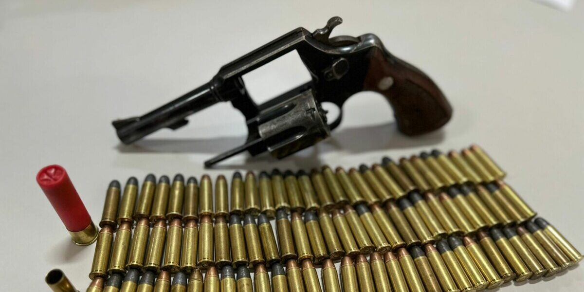 Polícia Civil prende homem na posse de arma de fogo em meio a investigação sobre morte de cão, em Formosa