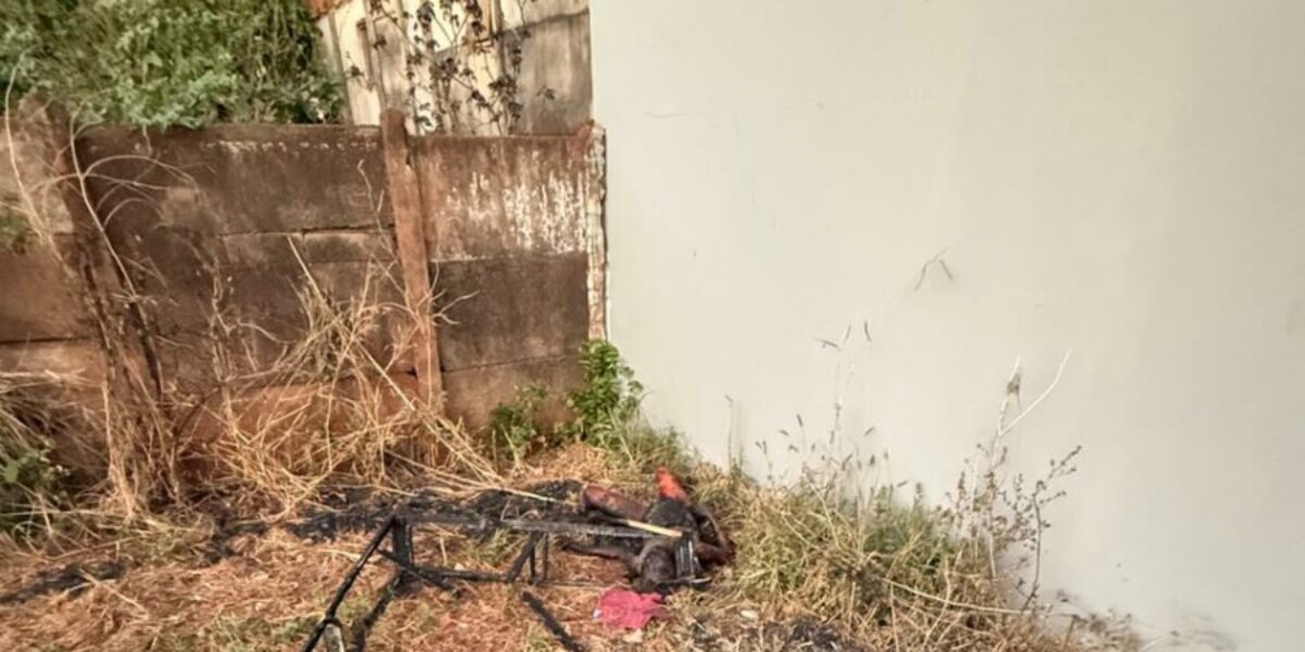 Polícia Civil prende homem que matou e incendiou o corpo de jovem em Rio Verde