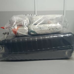 Rascunho automático