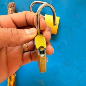 Shamar: PCGO realiza operação e prende homem por violência doméstica contra idosa e corrupção ativa em Luziânia