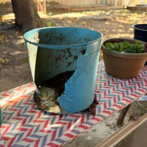 Shamar: PCGO realiza operação e prende homem por violência doméstica contra idosa e corrupção ativa em Luziânia