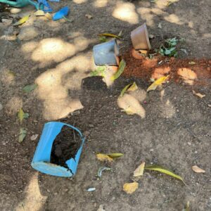 Shamar: PCGO realiza operação e prende homem por violência doméstica contra idosa e corrupção ativa em Luziânia