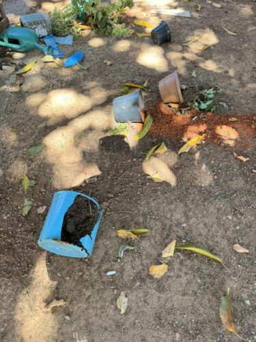 Shamar: PCGO realiza operação e prende homem por violência doméstica contra idosa e corrupção ativa em Luziânia