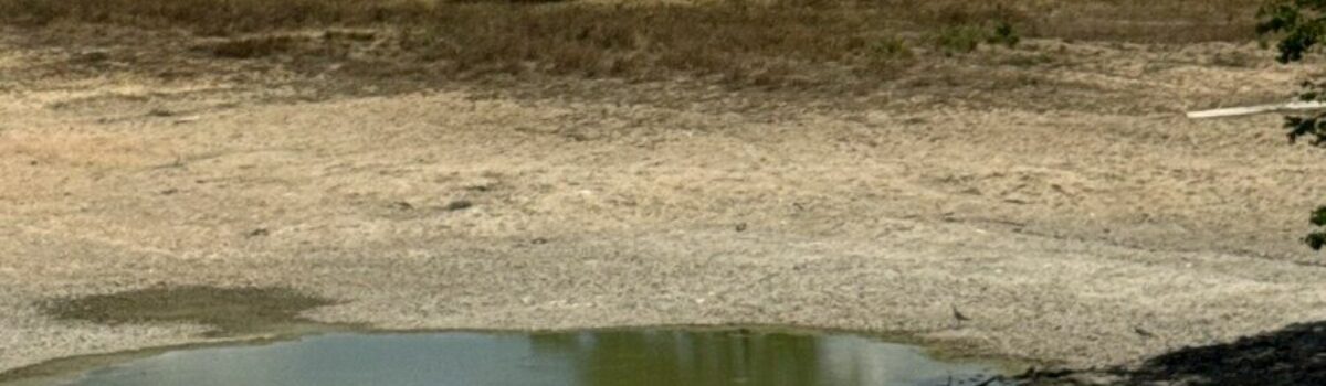 Ação integrada entre PCGO e Semad busca preservar ecossistemas do Lago Luiz Alves e do Rio Araguaia