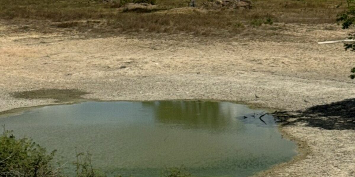 Ação integrada entre PCGO e Semad busca preservar ecossistemas do Lago Luiz Alves e do Rio Araguaia
