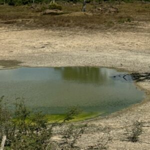 Ação integrada entre PCGO e Semad busca preservar ecossistemas do Lago Luiz Alves e do Rio Araguaia
