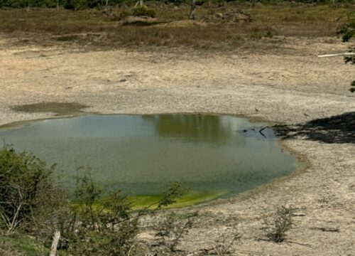 Ação integrada entre PCGO e Semad busca preservar ecossistemas do Lago Luiz Alves e do Rio Araguaia