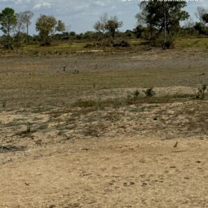 Ação integrada entre PCGO e Semad busca preservar ecossistemas do Lago Luiz Alves e do Rio Araguaia