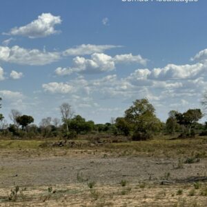 Ação integrada entre PCGO e Semad busca preservar ecossistemas do Lago Luiz Alves e do Rio Araguaia