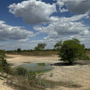 Ação integrada entre PCGO e Semad busca preservar ecossistemas do Lago Luiz Alves e do Rio Araguaia