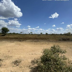 Ação integrada entre PCGO e Semad busca preservar ecossistemas do Lago Luiz Alves e do Rio Araguaia