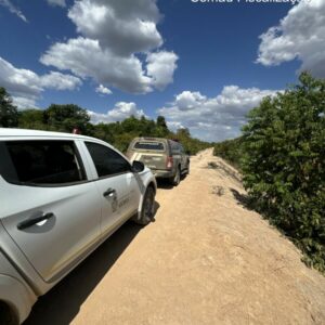 Ação integrada entre PCGO e Semad busca preservar ecossistemas do Lago Luiz Alves e do Rio Araguaia