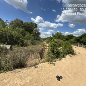 Ação integrada entre PCGO e Semad busca preservar ecossistemas do Lago Luiz Alves e do Rio Araguaia