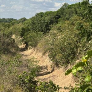 Ação integrada entre PCGO e Semad busca preservar ecossistemas do Lago Luiz Alves e do Rio Araguaia