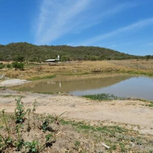 Apuração de crime ambiental: Polícia Civil investiga aterramento no Córrego Santo Antônio, em Aparecida de Goiânia