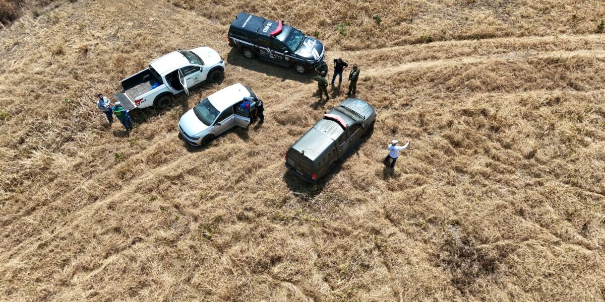 Em ação conjunta, PCGO localiza garimpo ilegal em fazenda de Niquelândia
