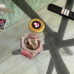 Operação cumpre buscas em Cavalcante, apreende centenas de drogas e prende quatro pessoas em flagrante