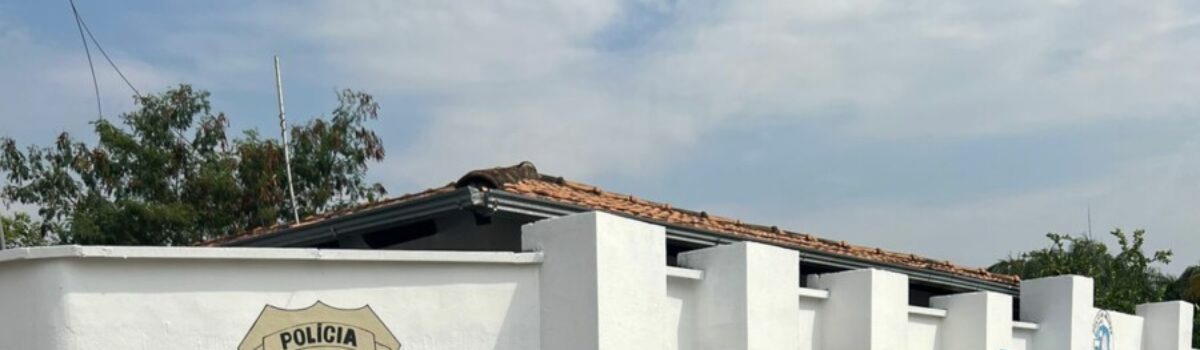 PCGO apreende munições e droga durante cumprimento de mandado de busca em Faina