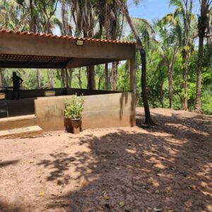 PCGO cumpre mandado, apreende arma e prende investigado por violência doméstica