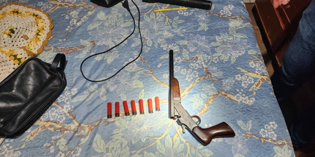 PCGO cumpre mandado, apreende arma e prende investigado por violência doméstica