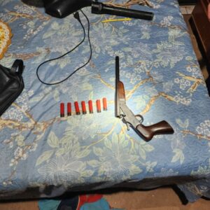 PCGO cumpre mandado, apreende arma e prende investigado por violência doméstica