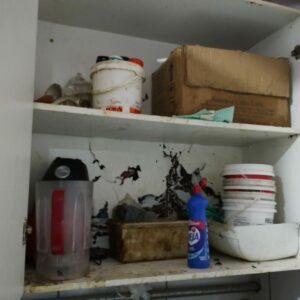 PCGO deflagra nova fase da Operação “Olho Vivo” e interdita estabelecimento comercial