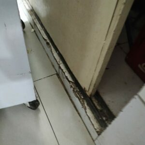 PCGO deflagra nova fase da Operação “Olho Vivo” e interdita estabelecimento comercial