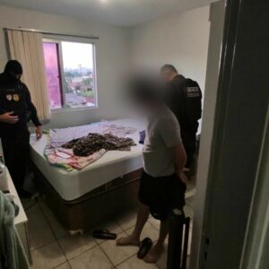 PCGO deflagra operação Infinity Cash contra fraude milionária em instituição financeira