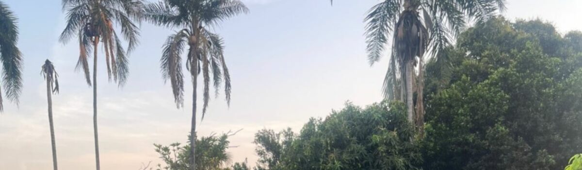 PCGO desarticula grupo criminoso envolvido com tráfico de drogas em Caçu