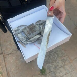 PCGO desarticula grupo criminoso envolvido com tráfico de drogas em Caçu