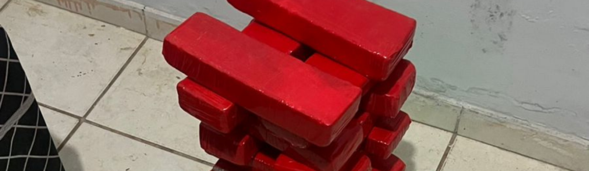 PCGO desarticula ponto de tráfico e apreende 19 tabletes de maconha em Goiânia