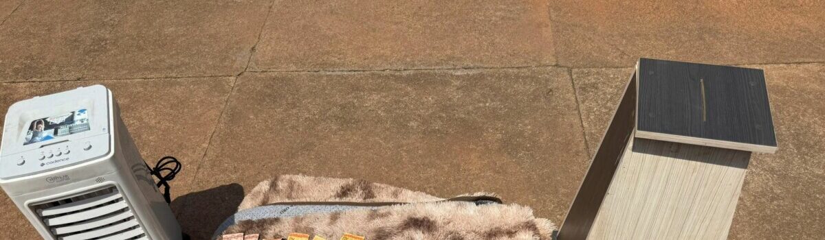 PCGO e PMGO prendem autor de furto à igreja em Montividiu do Norte