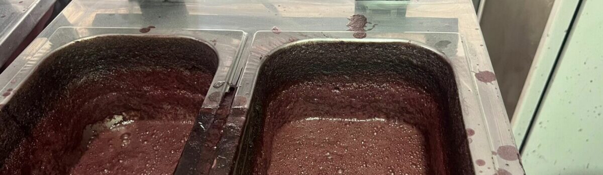 PCGO e Vigilância Sanitária interditam açaiteria em Goiânia por risco à saúde pública