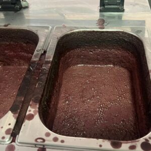 PCGO e Vigilância Sanitária interditam açaiteria em Goiânia por risco à saúde pública