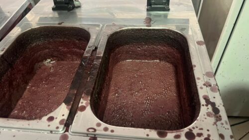 PCGO e Vigilância Sanitária interditam açaiteria em Goiânia por risco à saúde pública