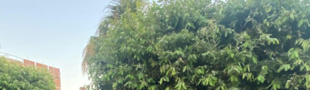 PCGO prende dupla suspeita de roubar frequentadores de cachoeira em Águas Lindas